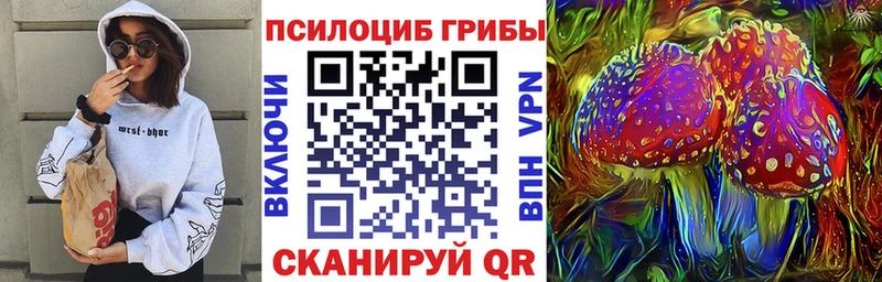 omg ссылка  хочу   Задонск  Псилоцибиновые грибы Cubensis 